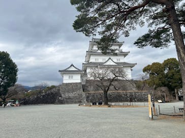 小田原城に投稿された画像（2025/1/16）