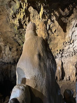 石垣島鍾乳洞に投稿された画像（2025/1/16）