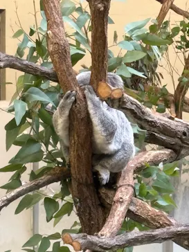 多摩動物公園に投稿された画像（2025/1/16）