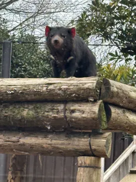 多摩動物公園に投稿された画像（2025/1/16）