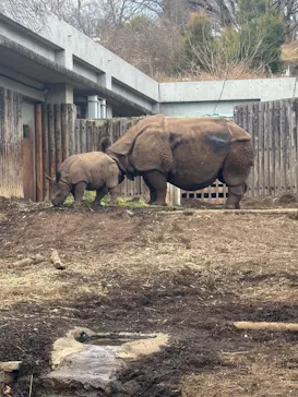 多摩動物公園に投稿された画像（2025/1/16）
