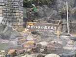 伊豆シャボテン動物公園に投稿された画像（2025/1/16）