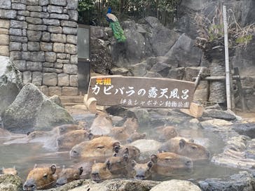 伊豆シャボテン動物公園に投稿された画像（2025/1/16）