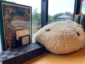 伊豆シャボテン動物公園に投稿された画像（2025/1/16）