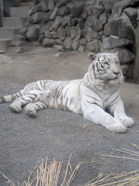 東武動物公園に投稿された画像（2025/1/16）