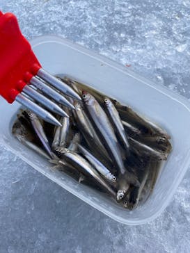 レイクサイドとうろに投稿された画像（2025/1/16）