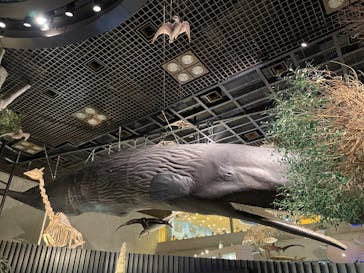 国立科学博物館に投稿された画像（2025/1/16）