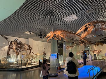 国立科学博物館に投稿された画像（2025/1/16）