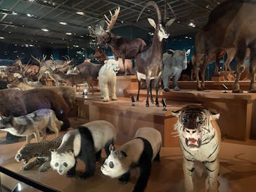 国立科学博物館に投稿された画像（2025/1/16）