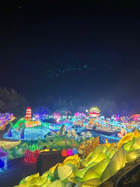 伊豆高原グランイルミに投稿された画像（2025/1/16）