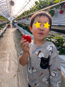 たにい農園に投稿された画像（2025/1/16）