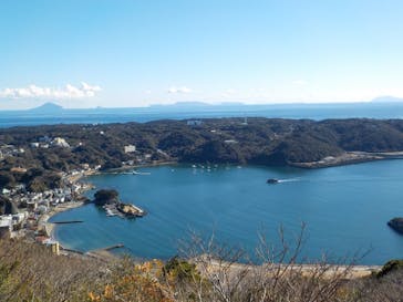 下田海中水族館に投稿された画像（2025/1/16）