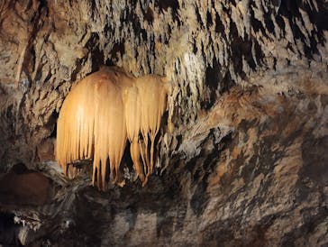 CAVE OKINAWAに投稿された画像（2025/1/16）