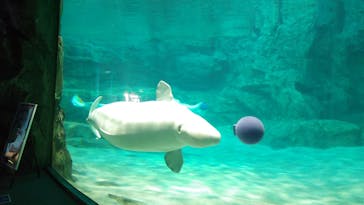 名古屋港水族館に投稿された画像（2025/1/16）