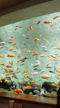 名古屋港水族館に投稿された画像（2025/1/16）