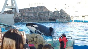 名古屋港水族館に投稿された画像（2025/1/16）