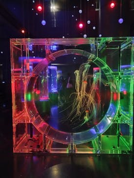 マクセル アクアパーク品川に投稿された画像（2025/1/16）