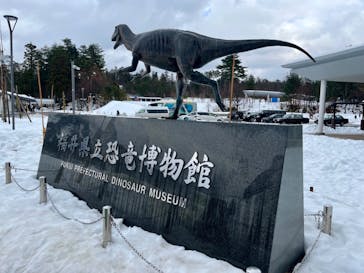 福井県立恐竜博物館に投稿された画像（2025/1/16）