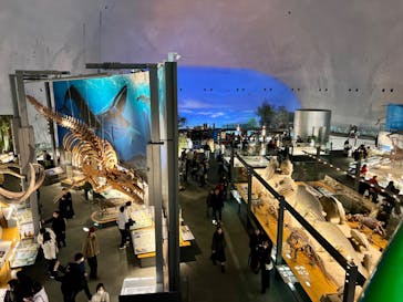 福井県立恐竜博物館に投稿された画像（2025/1/16）