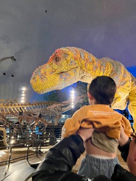 福井県立恐竜博物館に投稿された画像（2025/1/16）