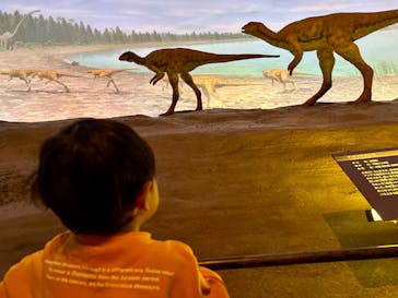 福井県立恐竜博物館に投稿された画像（2025/1/16）