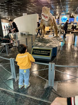福井県立恐竜博物館に投稿された画像（2025/1/16）