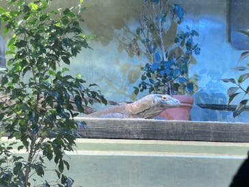 名古屋市東山動植物園に投稿された画像（2025/1/17）