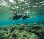 沖縄マリンサービス碧に投稿された画像（2025/1/17）