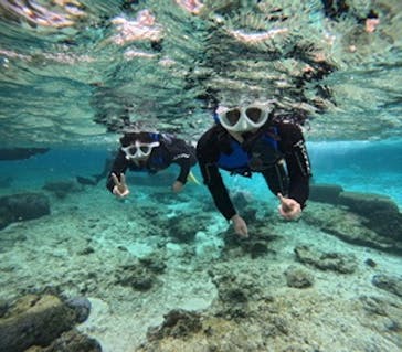 沖縄マリンサービス碧に投稿された画像（2025/1/17）