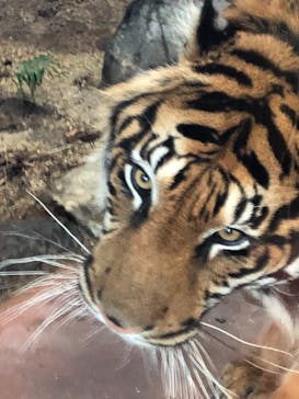 名古屋市東山動植物園に投稿された画像（2025/1/17）