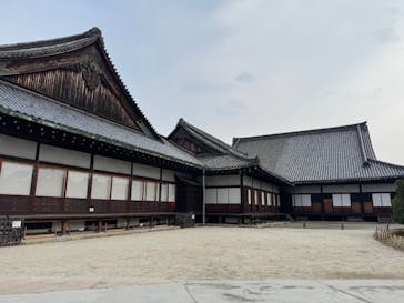 京都市観光協会（催行運営：株式会社らくたび）に投稿された画像（2025/1/17）