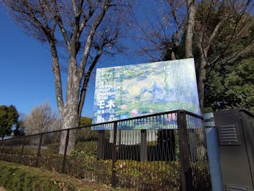 モネ 睡蓮のとき（国立西洋美術館）に投稿された画像（2025/1/17）
