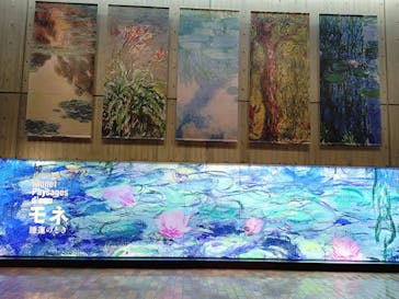モネ 睡蓮のとき（国立西洋美術館）に投稿された画像（2025/1/17）