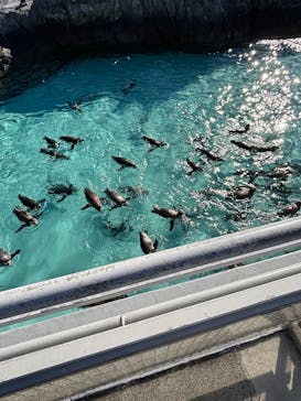 葛西臨海水族園に投稿された画像（2025/1/17）