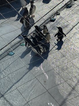 葛西臨海水族園に投稿された画像（2025/1/17）