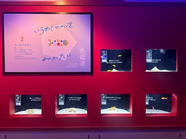 横浜開運水族館 フォーチュンアクアリウムに投稿された画像（2025/1/17）