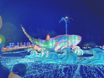 伊豆高原グランイルミに投稿された画像（2025/1/17）