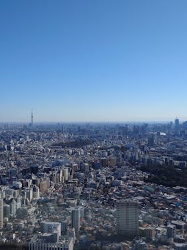 サンシャイン60展望台に投稿された画像（2025/1/17）