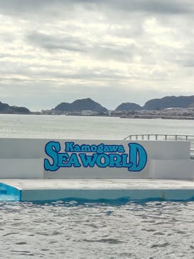 鴨川シーワールドに投稿された画像（2025/1/17）