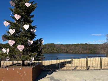 ムーミンバレーパークに投稿された画像（2025/1/17）