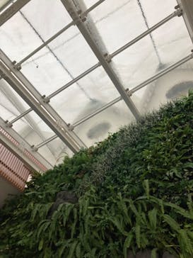 マリンワールド海の中道に投稿された画像（2025/1/17）