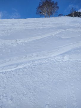 たざわ湖スキー場に投稿された画像（2025/1/17）