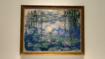 モネ 睡蓮のとき（国立西洋美術館）に投稿された画像（2025/1/17）
