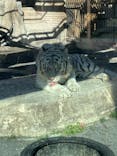 東武動物公園に投稿された画像（2025/1/17）