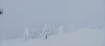 阿仁スキー場に投稿された画像（2025/1/17）