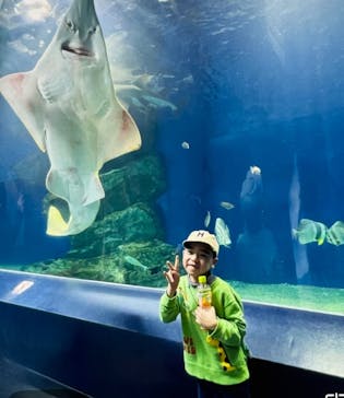 マクセル アクアパーク品川に投稿された画像（2025/1/17）