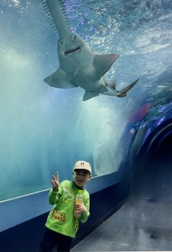 マクセル アクアパーク品川に投稿された画像（2025/1/17）