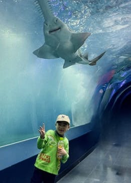 マクセル アクアパーク品川に投稿された画像（2025/1/17）