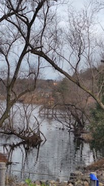 ムーミンバレーパークに投稿された画像（2025/1/17）