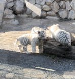 東武動物公園に投稿された画像（2025/1/17）